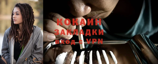 PSILOCYBIN Вязники