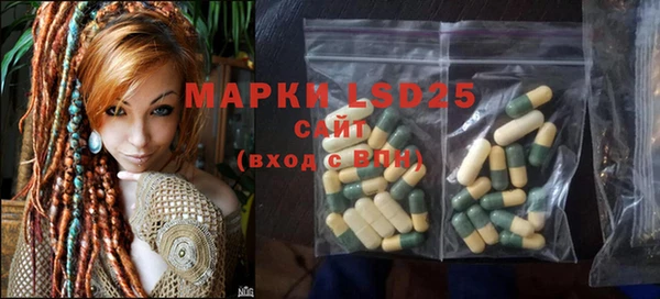 PSILOCYBIN Вязники
