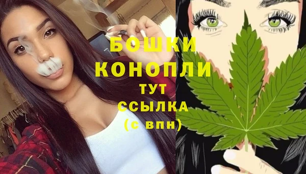 PSILOCYBIN Вязники